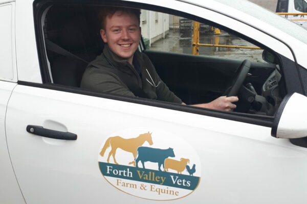 forth valley vets