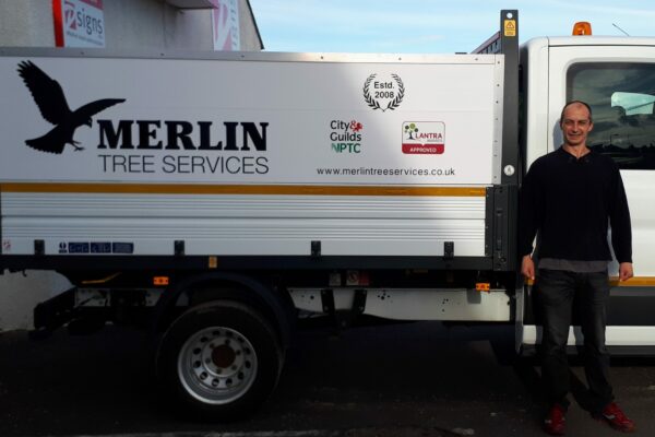 merlin tree services